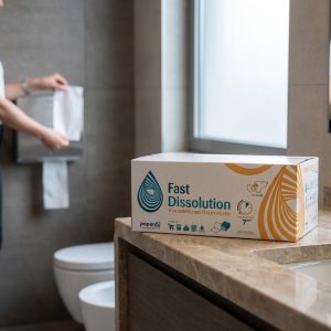 Χαρτί Υγείας Σε Φύλλα V Fold Paperdi